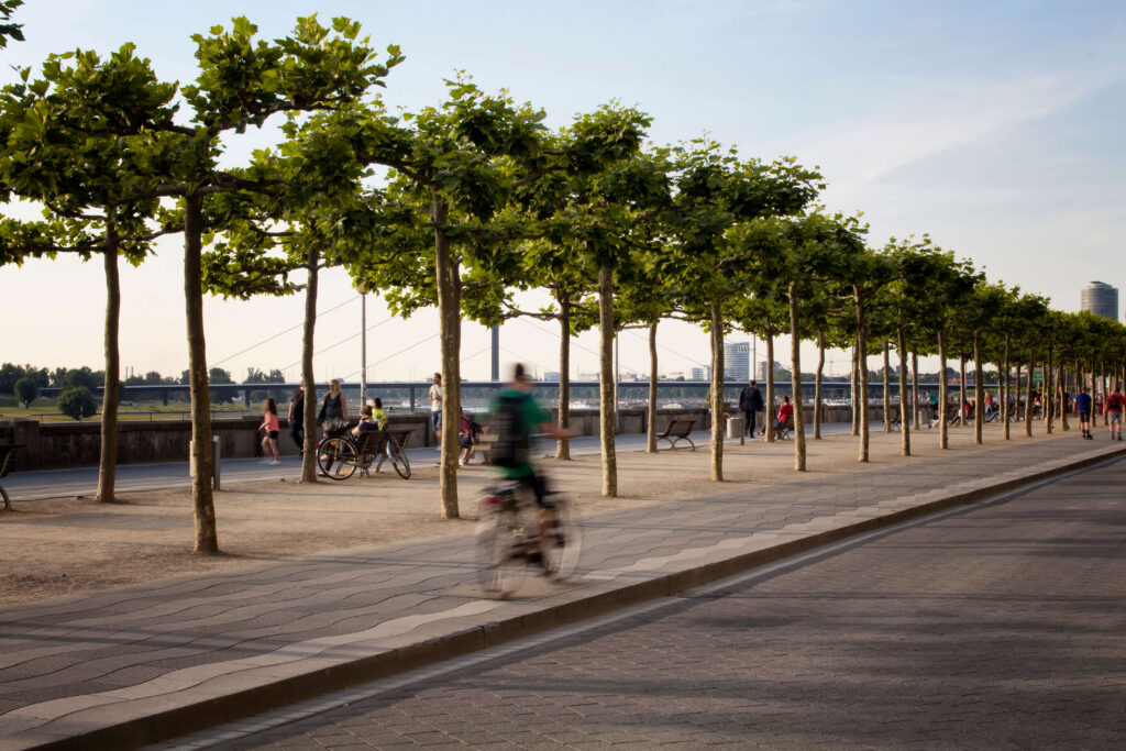 Promenade Düsseldorf mit Alle Bäumen, Fußgänger und Fahrradfahrern
