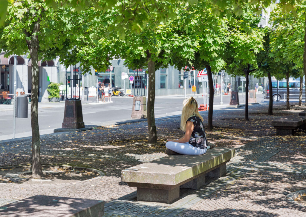 Alleebäume in der Innenstadt Baustelle