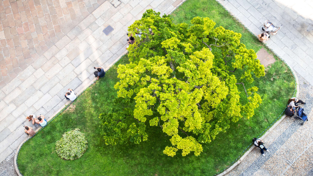 Grüne Fläche mit Baum. Blick von oben. Menschen sitzen drumherum