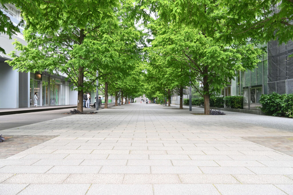 Innenstadt Allee mit Bäumen